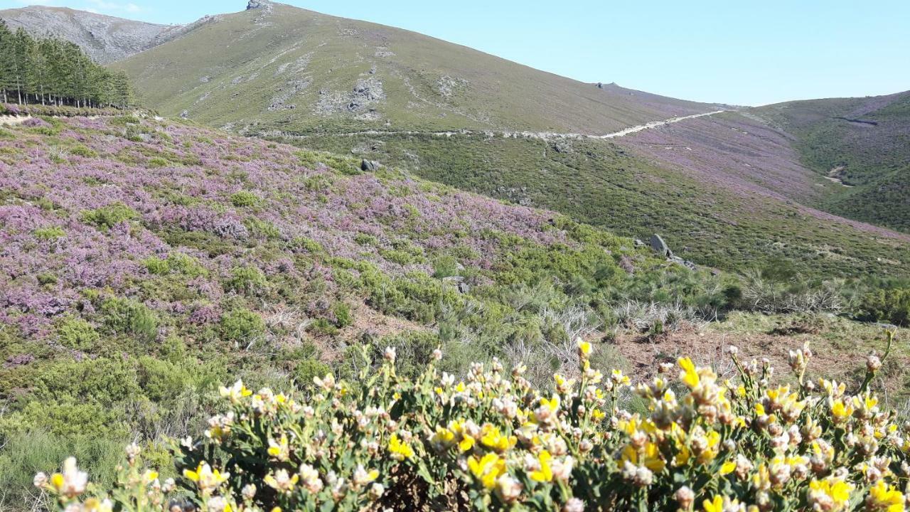 バイアン Casa Douro Terraceヴィラ エクステリア 写真
